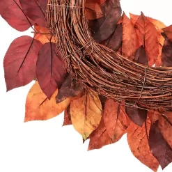 Fall><noscript><img width=