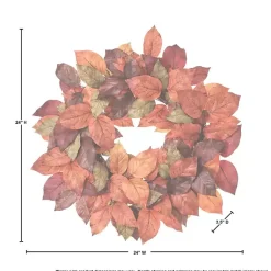 Fall><noscript><img width=