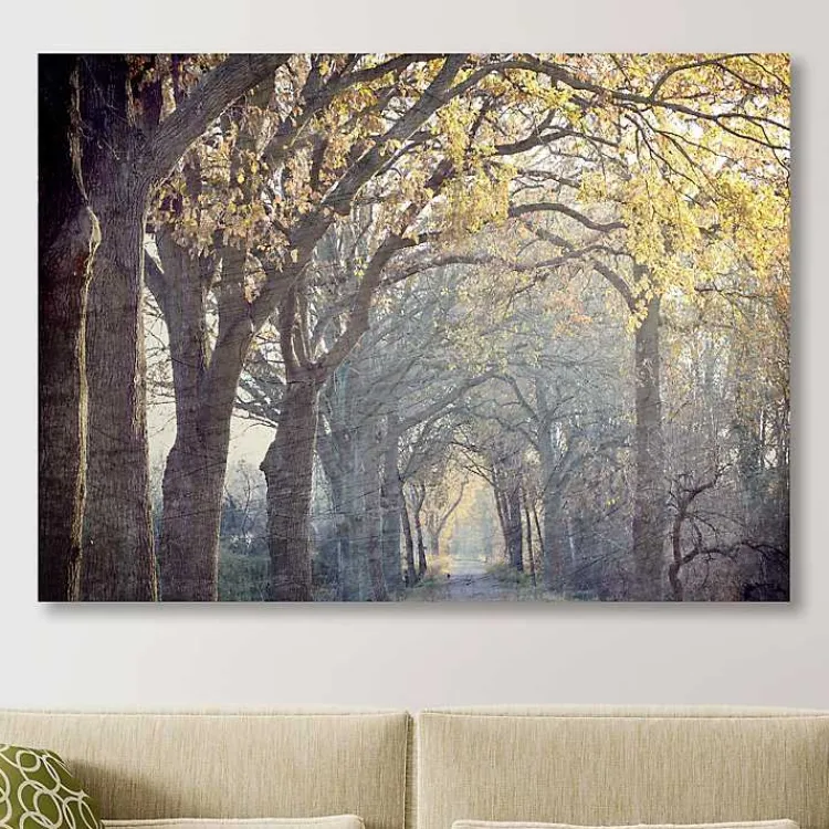 Kirklands Home Avenue Of Trees Canvas Art Print