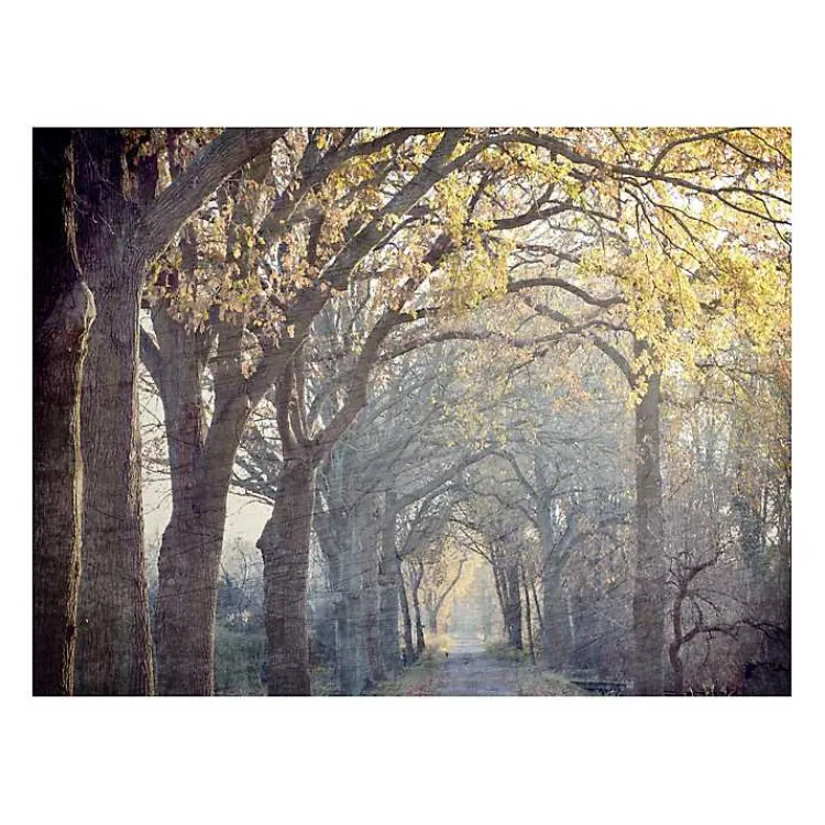 Kirklands Home Avenue Of Trees Canvas Art Print