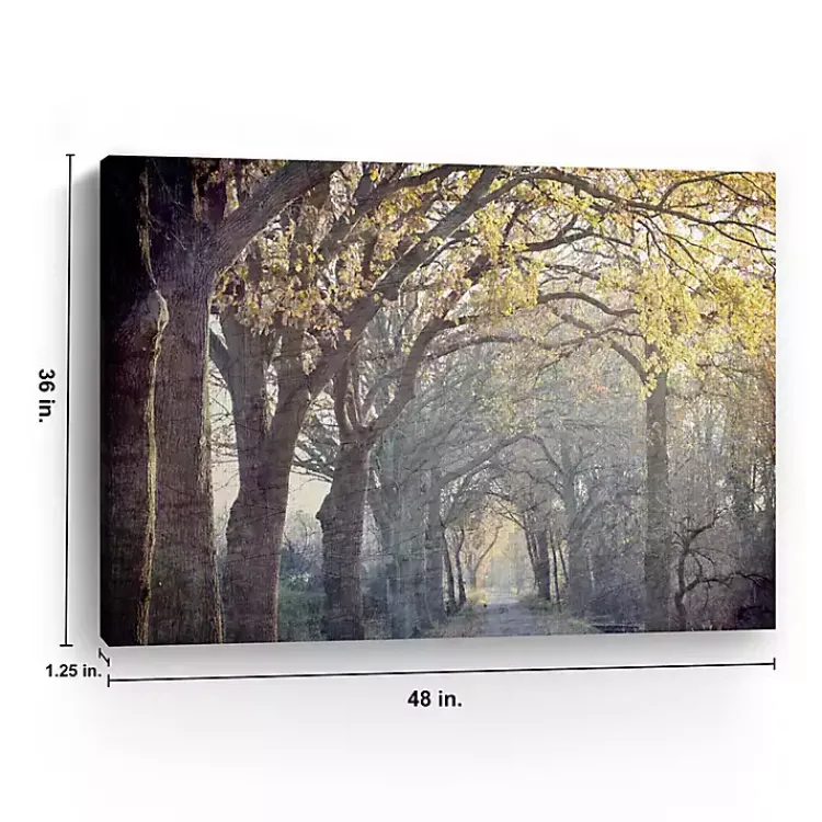 Kirklands Home Avenue Of Trees Canvas Art Print