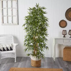 Trees & Topiaries><noscript><img width=