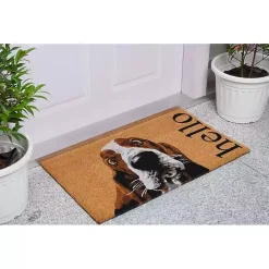 Kirklands Home Basset Hound Hello Doormat Brown Sale