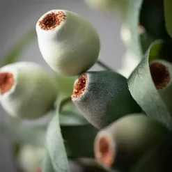 Stems & Bouquets>Kirklands Home Berry Pod Stems, Set of 3 Green