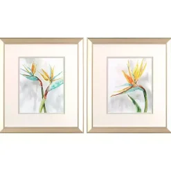Kirklands Home Bird of Paradise Framed Art Prints, Set of 2 Clearance