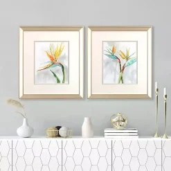 Kirklands Home Bird of Paradise Framed Art Prints, Set of 2 Clearance