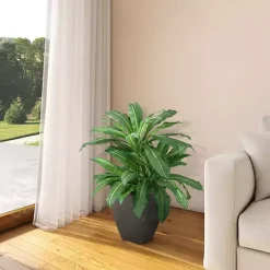 Trees & Topiaries>Kirklands Home Birdnest Palm Tree in Black Planter