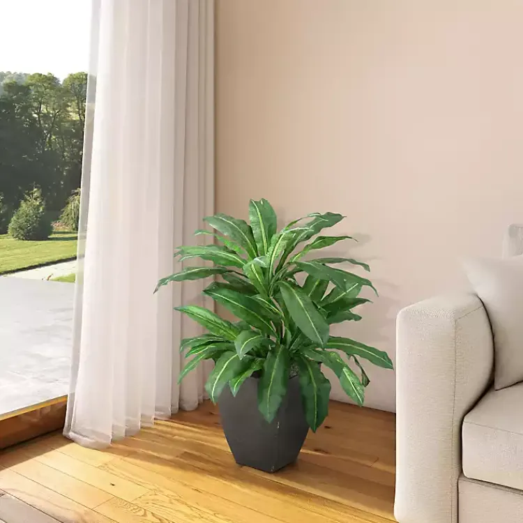 Trees & Topiaries>Kirklands Home Birdnest Palm Tree in Black Planter