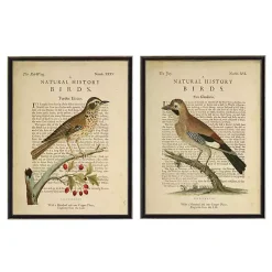 Kirklands Home Birds Diagram I Framed Art Prints, Set of 2 Ivory Online