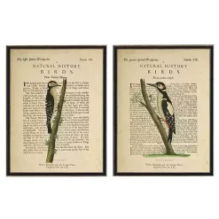 Kirklands Home Birds Diagram II Framed Art Prints, Set of 2 Ivory New