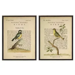 Kirklands Home Birds Diagram III Framed Art Prints, Set of 2 Ivory Outlet