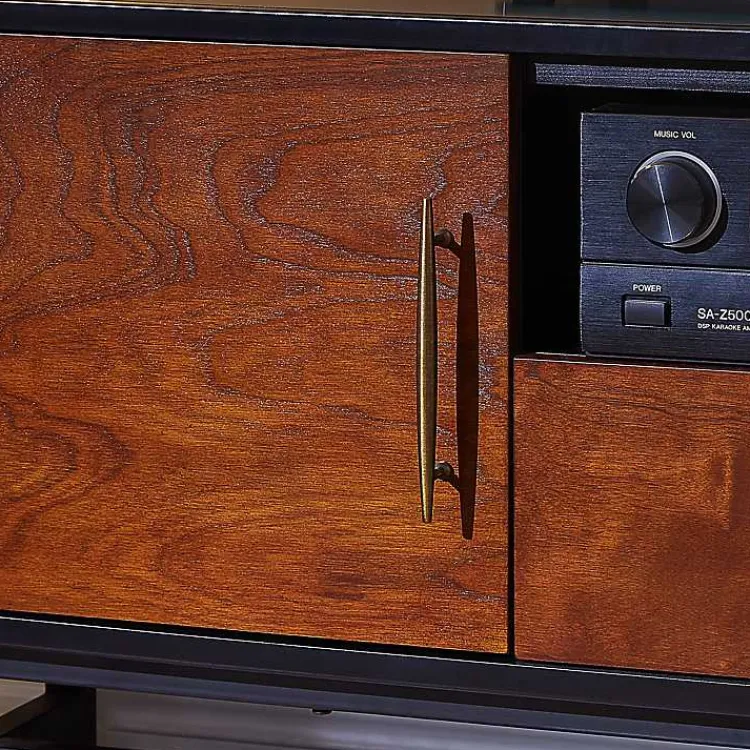 Kirklands Home Black and Wood 2-Door Media Cabinet Brown New