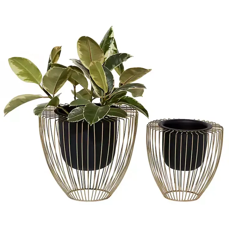 Kirklands Home Black and Gold Open Frame Planters, Set of 2 Sale