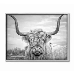Kirklands Home Black and White Framed Highland Cow Photograph New