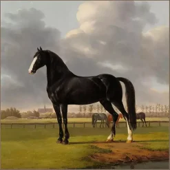 Kirklands Home Black and White Horse Framed Canvas Art Print