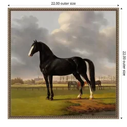 Kirklands Home Black and White Horse Framed Canvas Art Print