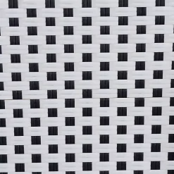 Kirklands Home Black and White Woven Dining Chairs, Set of 2 Clearance