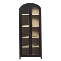 Kirklands Home Arched Glass Doors Chantelle Bookcase Black Hot