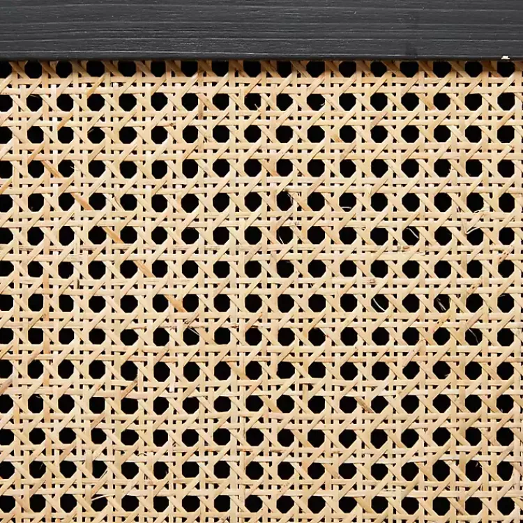 Kirklands Home Black Cane 2-Door Media Cabinet