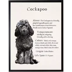 Kirklands Home Black Cockapoo Facts Framed Wall Plaque Best