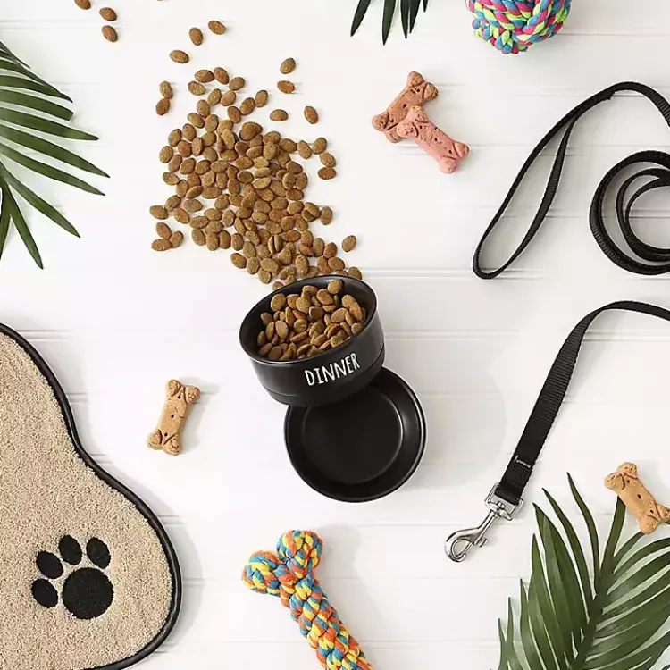 Kirklands Home Dinner & Drinks 2-pc. Pet Bowl Set, 4 in. Black Hot