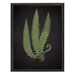 Kirklands Home Black Fern I Framed Art Print Online