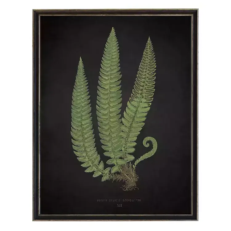 Kirklands Home Black Fern I Framed Art Print Online