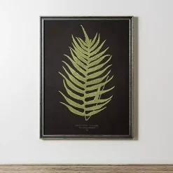 Kirklands Home Black Fern II Framed Art Print Online
