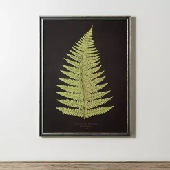 Kirklands Home Black Fern IV Framed Art Print Clearance