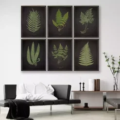 Kirklands Home Black Fern IV Framed Art Print Clearance