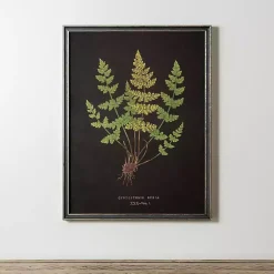 Kirklands Home Black Fern V Framed Art Print Clearance