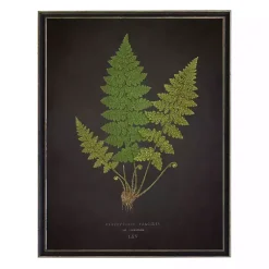 Kirklands Home Black Fern VI Framed Art Print Best