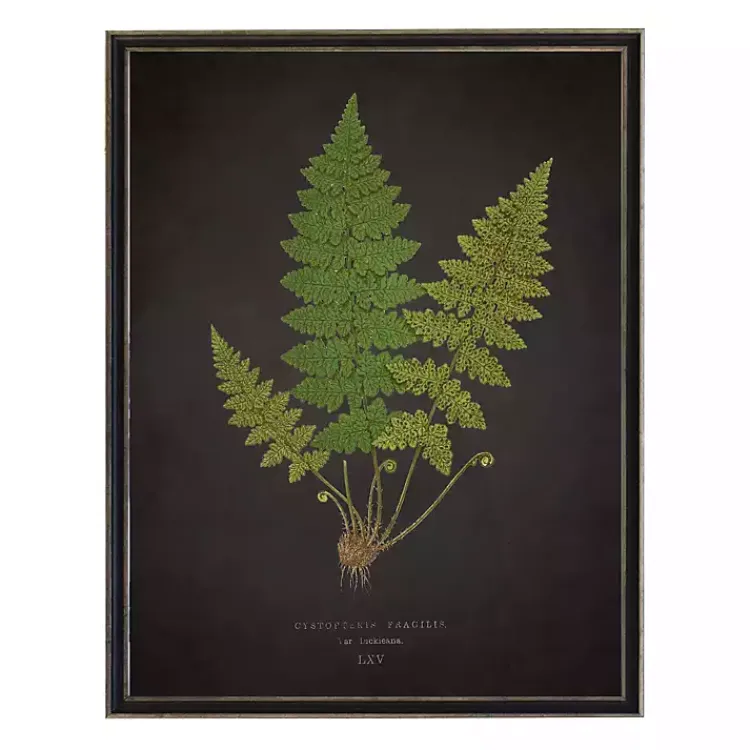 Kirklands Home Black Fern VI Framed Art Print Best