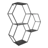 Kirklands Home Black Metal Hexagon Wall Shelf New