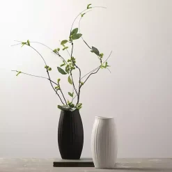 Vases><noscript><img width=