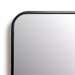 Kirklands Home Black Nouveau Panel Wall Mirror Sale