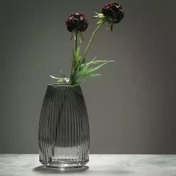 Vases><noscript><img width=
