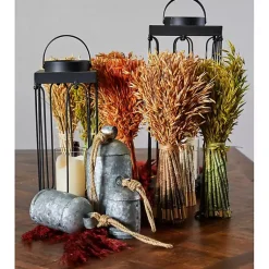 Lanterns><noscript><img data-lazyloaded=