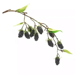 Stems & Bouquets>Kirklands Home Blackberry Vine Sprays, Set of 6