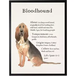 Kirklands Home Bloodhound Facts Framed Wall Plaque Best