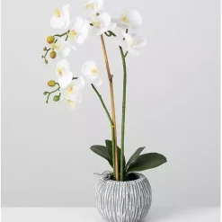 Arrangements & Greenery>Kirklands Home Blooming White Orchid Potted Floral Arrangement