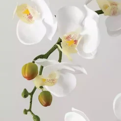 Arrangements & Greenery><noscript><img width=