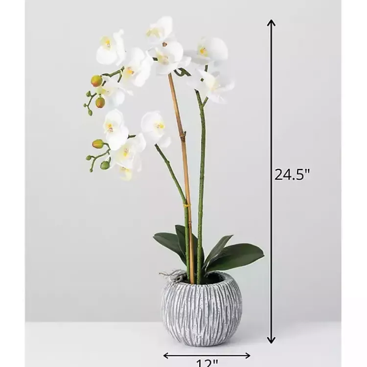Arrangements & Greenery>Kirklands Home Blooming White Orchid Potted Floral Arrangement