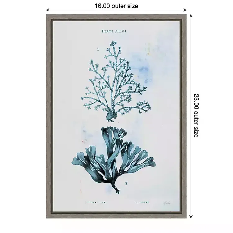 Kirklands Home Blue Bay Coral Framed Canvas Art Print Clearance