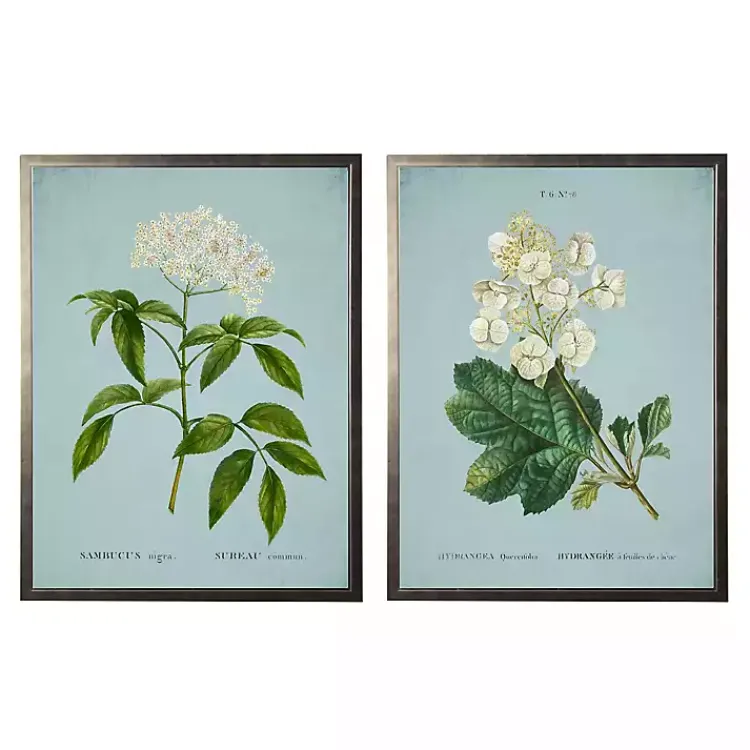 Kirklands Home Blue Floral Diagram I Framed Art Prints, Set of 2 Online