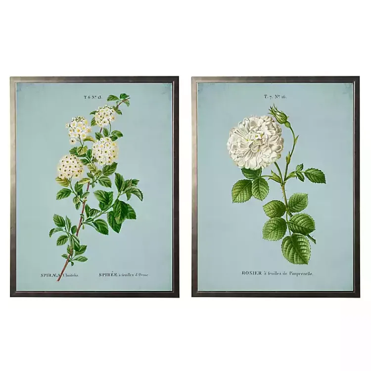 Kirklands Home Blue Floral Diagram II Framed Art Prints, Set of 2 Clearance