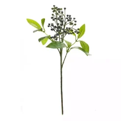 Stems & Bouquets><noscript><img width=