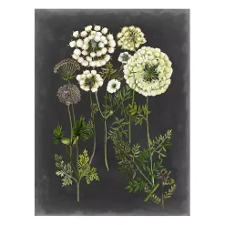 Kirklands Home Bookplate Floral II Giclee Canvas Art Print Outlet