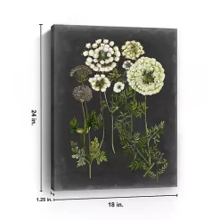 Kirklands Home Bookplate Floral II Giclee Canvas Art Print Outlet