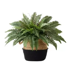 Arrangements & Greenery>Kirklands Home Boston Fern Arrangement in Woven Basket DIY Kit